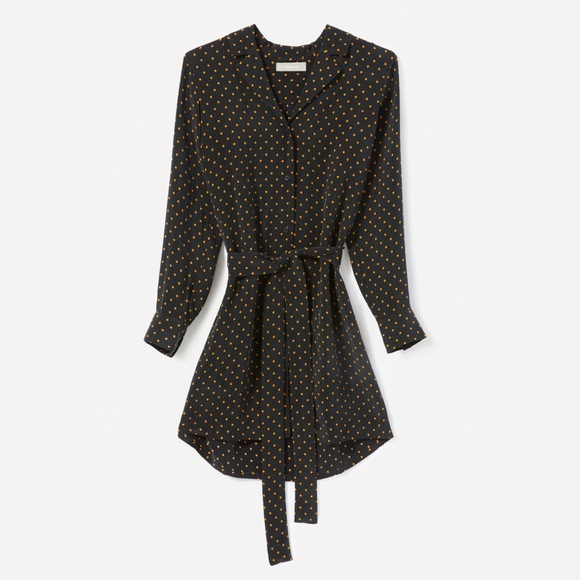 everlane polka dot shirt dress